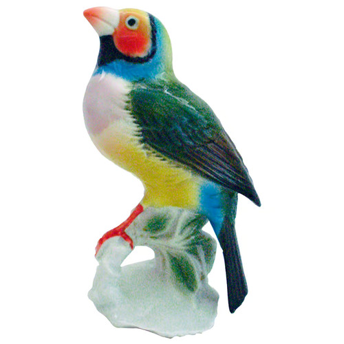 Porzellanvogel prachtfink - porzellanvogel,
