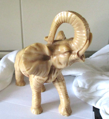 Afrikanischer elefant aus - -,